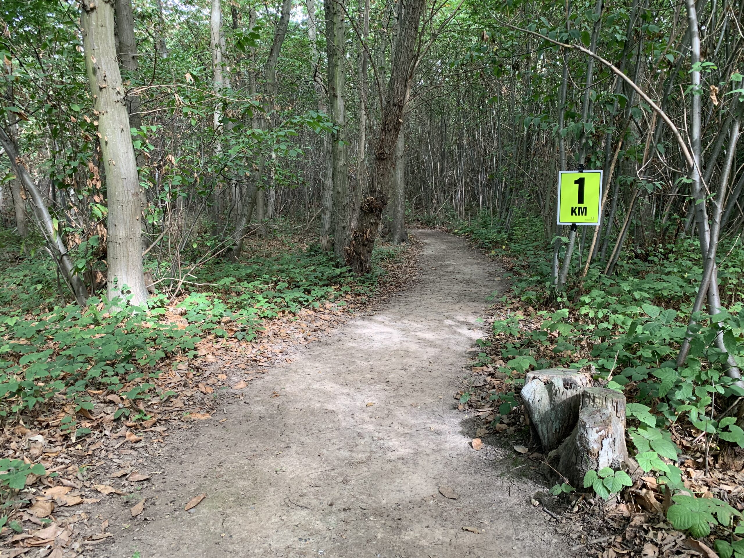 British Naturist hiking trail through the woodlands at Brocken Hurst Naturist foundation where naturists enjoy nude fitness, naturist hiking, naturist walking, surrounded by lush forest and a 1km sign